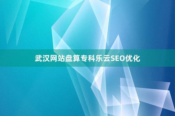 武汉网站盘算专科乐云SEO优化