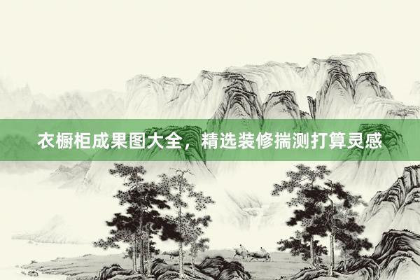 衣橱柜成果图大全，精选装修揣测打算灵感