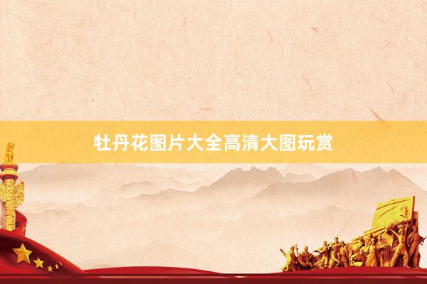 牡丹花图片大全高清大图玩赏