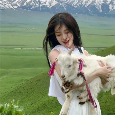 我的修真靠抽卡